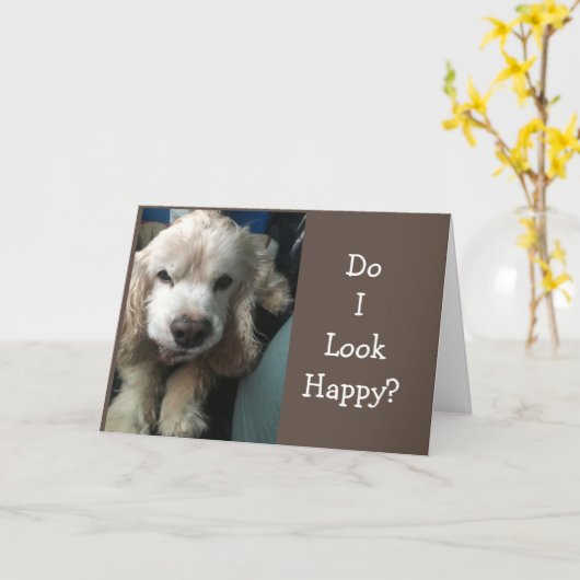 *GET WILL SOON" SAYS "SAD" DOGGIE CARD KAART (Gele Bloem)