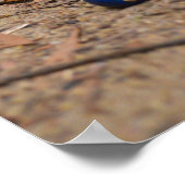 Getekend gevallen bosbessen poster (Hoek)