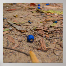 Getekend gevallen bosbessen poster