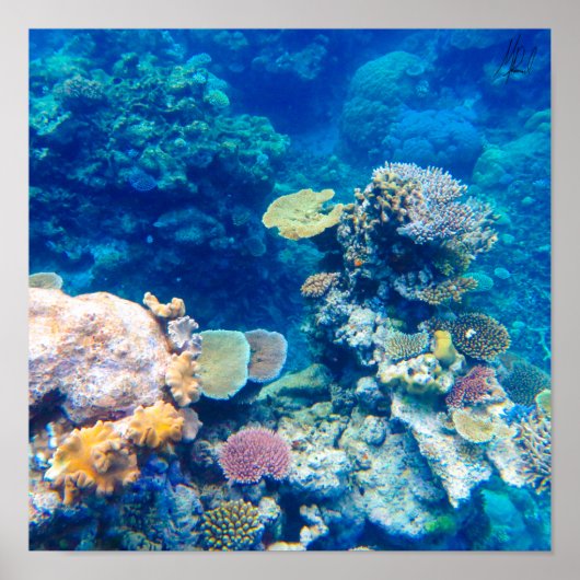 Getekend Great Barrier Reef Coral - #1 Poster (Voorkant)
