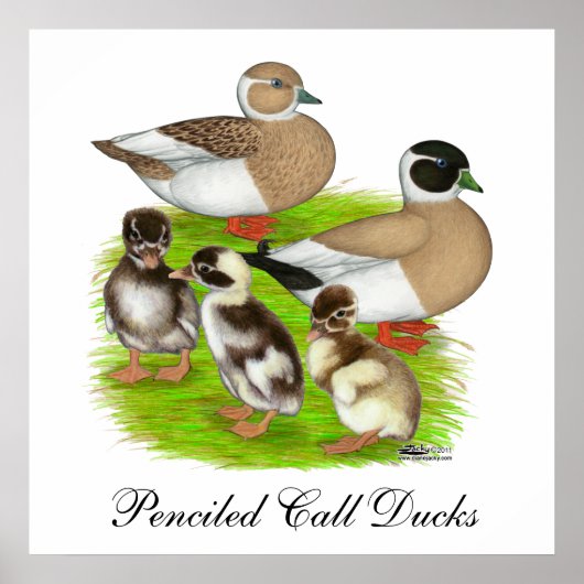 Getekende Call-eend familie Poster (Voorkant)