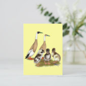 Getekende ren-eend familie briefkaart (Staand voorkant)