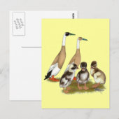 Getekende ren-eend familie briefkaart (Voorkant / Achterkant)