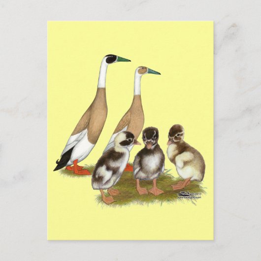 Getekende ren-eend familie briefkaart (Voorkant)