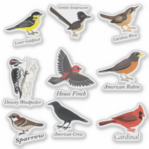 Getelabeld achtertuin vogelsticker set sticker