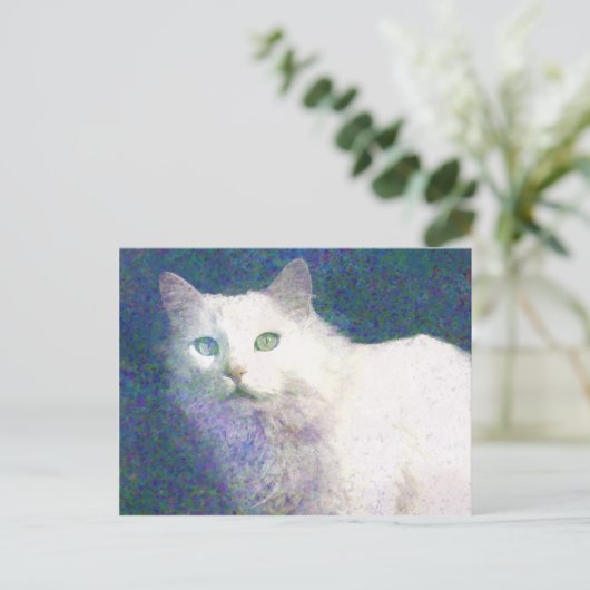Getextureerd briefkaart van witte katten (Staand voorkant)