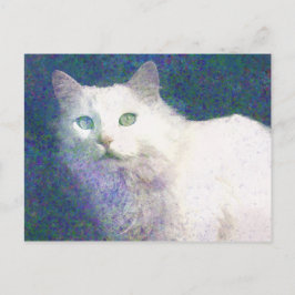 Getextureerd briefkaart van witte katten