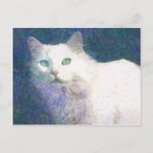 Getextureerd briefkaart van witte katten (Voorkant)