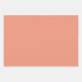 Getextureerd koraal "verzachtend koraal", populair inpakpapier vel (Voorkant 3)