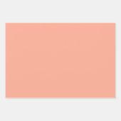 Getextureerd koraal "verzachtend koraal", populair inpakpapier vel (Voorkant 2)