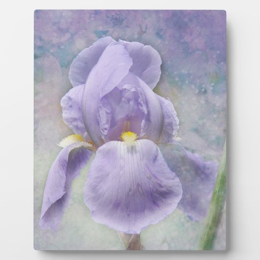 Getextureerd Paars Iris Plaque Fotoplaat (Voorkant)