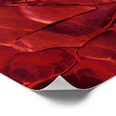 Getextureerd, scheuren, teugels in diep rood poster (Hoek)