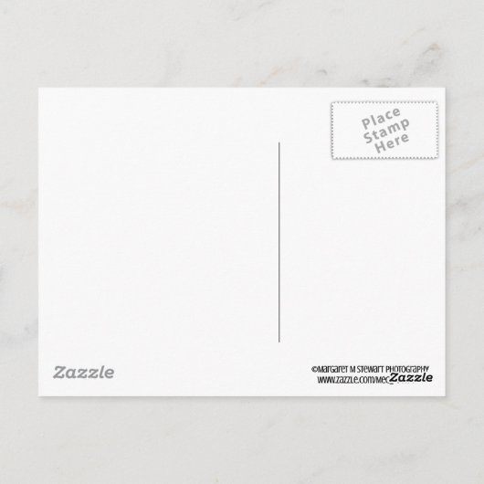 Getextureerde Chrysanthemum Happy Birthday Briefkaart (Achterkant)