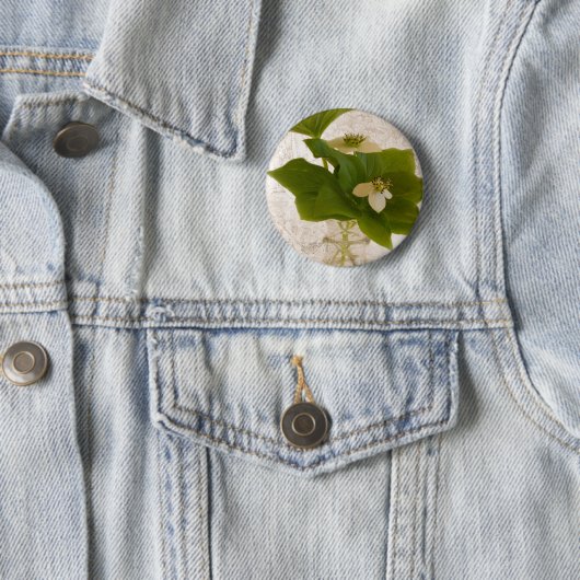 Getextureerde dogwood Bunch Berry Pin on Button (In situ)