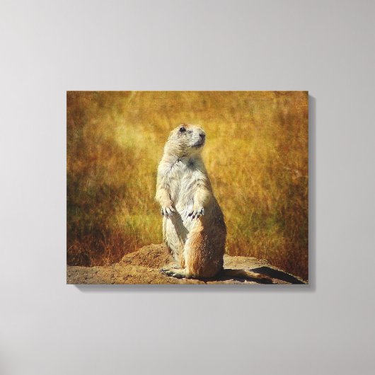 Getextureerde Prairie Dog Canvas Print (Voorkant)