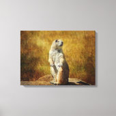 Getextureerde Prairie Dog Canvas Print (Voorkant)