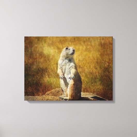 Getextureerde Prairie Dog Canvas Print (Voorkant)