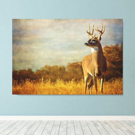 Getextureerde White-tailed Buck Canvas Print (Insitu (Houten vloer))