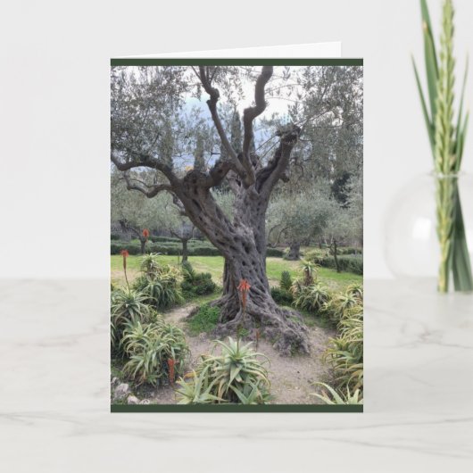 Gethsemane Sympathcard Notitiekaartje (Voorkant)