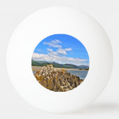 GETIJDE RIVIER PINGPONGBAL (Achterkant)