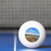 GETIJDE RIVIER PINGPONGBAL (Net)