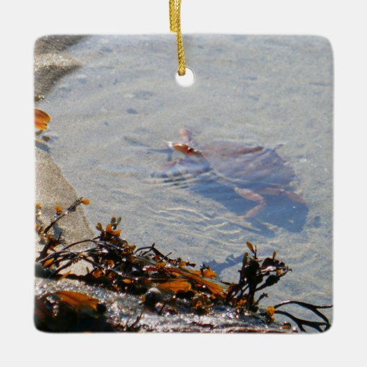 Getijdenpoel bij Sand Beach Keramisch Ornament (Voorkant)