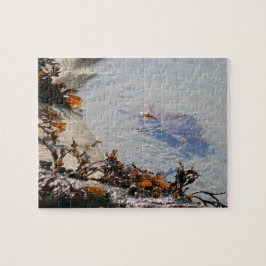 Getijdenpoel bij Sand Beach Legpuzzel