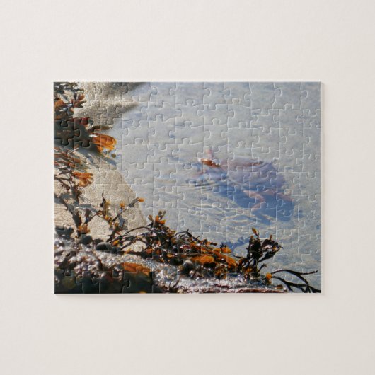Getijdenpoel bij Sand Beach Legpuzzel (Horizontaal)