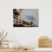 Getijdenpoel bij Sand Beach Poster (Keuken)