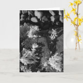 getijdenpoel van Maine Kaart (Gele Bloem)