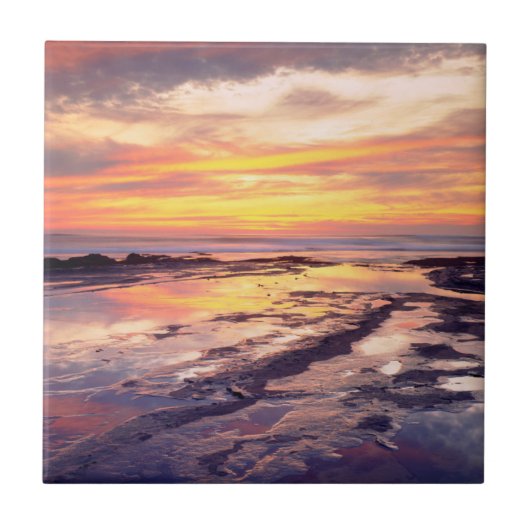 Getijdenpoelen bij Sunset Cliffs Tegeltje (Voorkant)