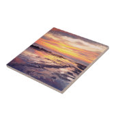 Getijdenpoelen bij Sunset Cliffs Tegeltje (Zijkant)