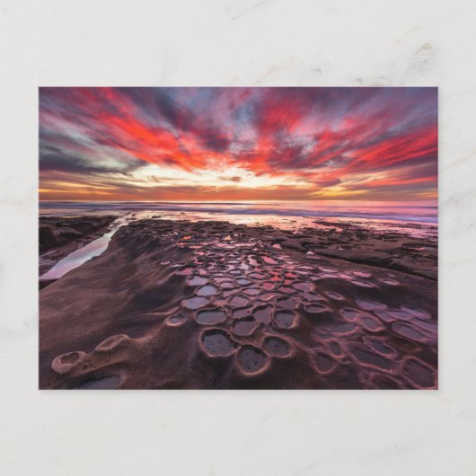 Getijdenpoelen in La Jolla, CA Briefkaart (Voorkant)