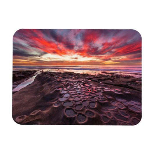 Getijdenpoelen in La Jolla, CA Magneet (Horizontaal)