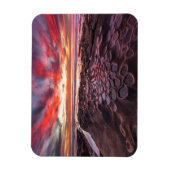Getijdenpoelen in La Jolla, CA Magneet (Verticaal)