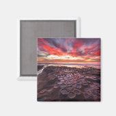 Getijdenpoelen in La Jolla, CA Magneet (Voorkant / Achterkant)