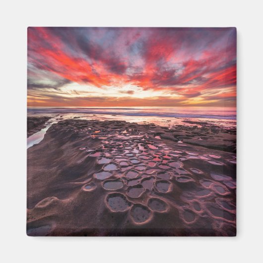 Getijdenpoelen in La Jolla, CA Magneet (Voorkant)