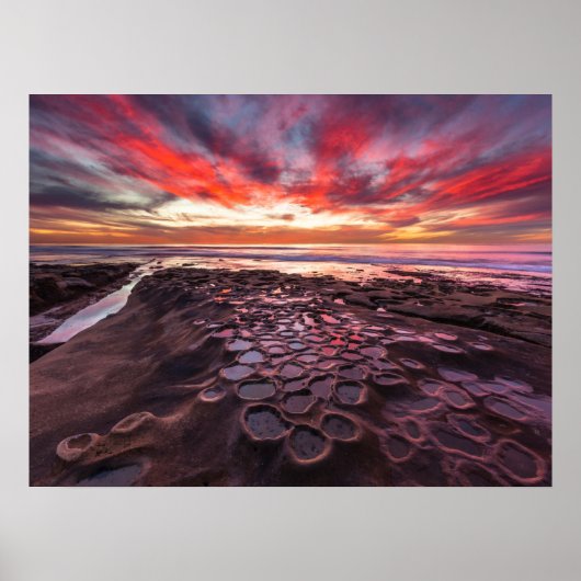 Getijdenpoelen in La Jolla, CA Poster (Voorkant)