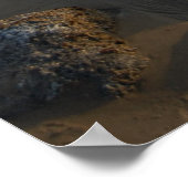 getijdepools leeg poster (Hoek)