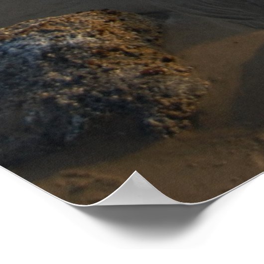 getijdepools leeg poster (Hoek)