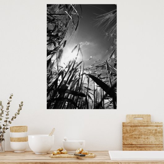 Getreide Schwarz Weiß Poster (Keuken)