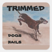 getrimde hondennagels Classic Ronde Stickers (Voorkant)