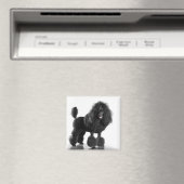 Getrimde zwarte poedel magneet (Insitu (Vaatwasser))