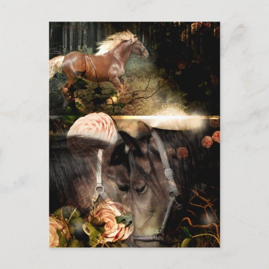 Getrokken in God's Love Briefkaart (Voorkant)