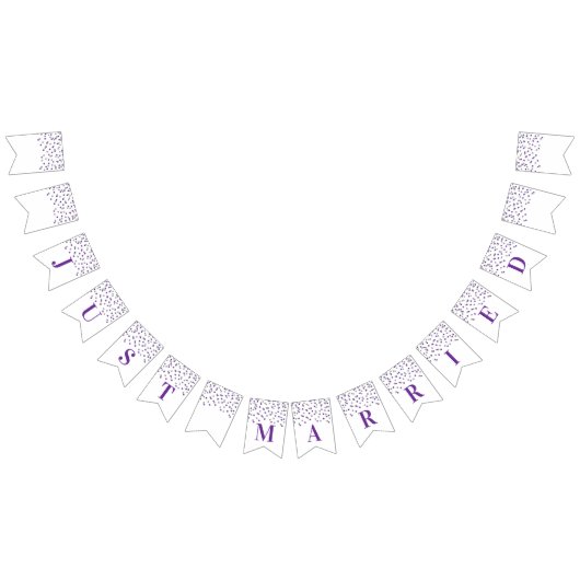 Getrouwd Banner Paarse zilveren Confetti (Alle)