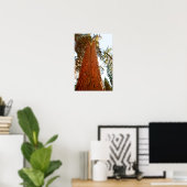 Getrouwe Koppel Sequoia Bomen, Yosemite Poster (Thuiskantoor)