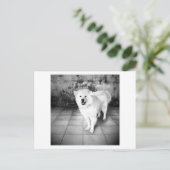 getrouwe liefde briefkaart (Staand voorkant)