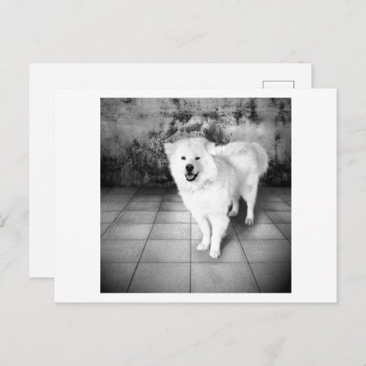 getrouwe liefde briefkaart (Voorkant / Achterkant)