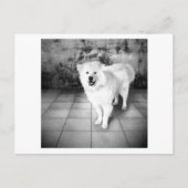 getrouwe liefde briefkaart (Voorkant)