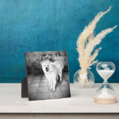 getrouwe liefde fotoplaat (Insitu)